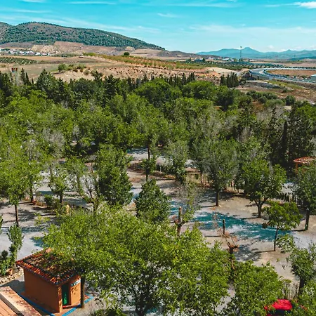 Camping & Bungalows Suspiro Del Moro 2* Otura